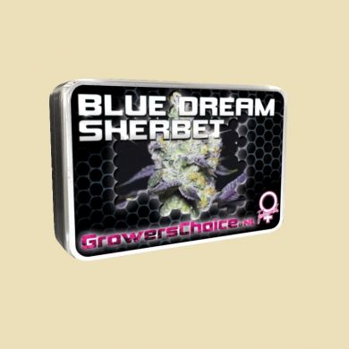 Blue Dream Sherbert
