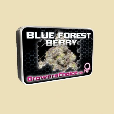 Blue Forest Berry