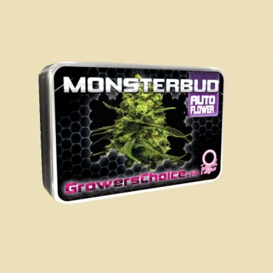 Monsterbud (Autoflower)