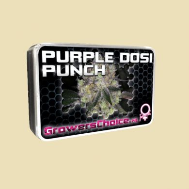 Purple Dosi Punch