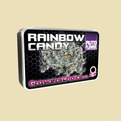 Rainbow Candy (Autoflower)