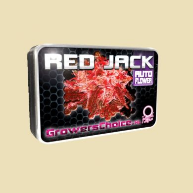 Red Jack (Autoflower)