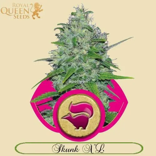 Skunk XL Royal Queen Seeds Feminized